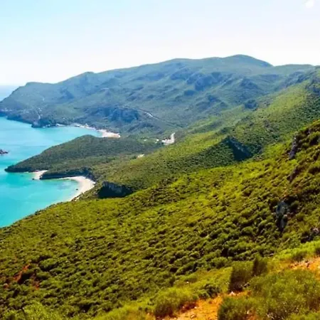 Casa Com Jardim Perto Da *