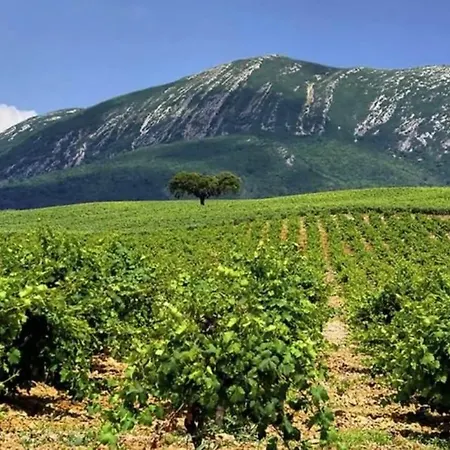 Casa Com Jardim Perto Da Дом отдыха *