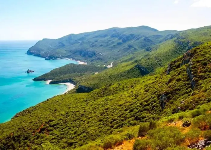 Casa Com Jardim Perto Da *