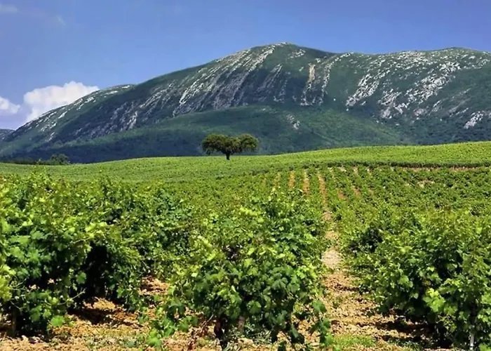 Casa Com Jardim Perto Da بيت للعطل *