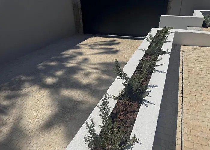 Casa Com Jardim Perto Da *