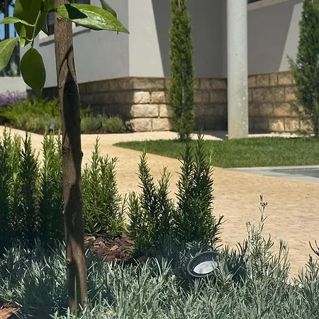 Casa Com Jardim Perto Da *