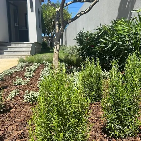 Σπίτι διακοπών Casa Com Jardim Perto Da