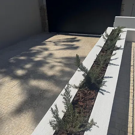 Casa Com Jardim Perto Da *