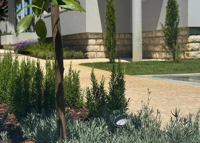 Casa Com Jardim Perto Da *